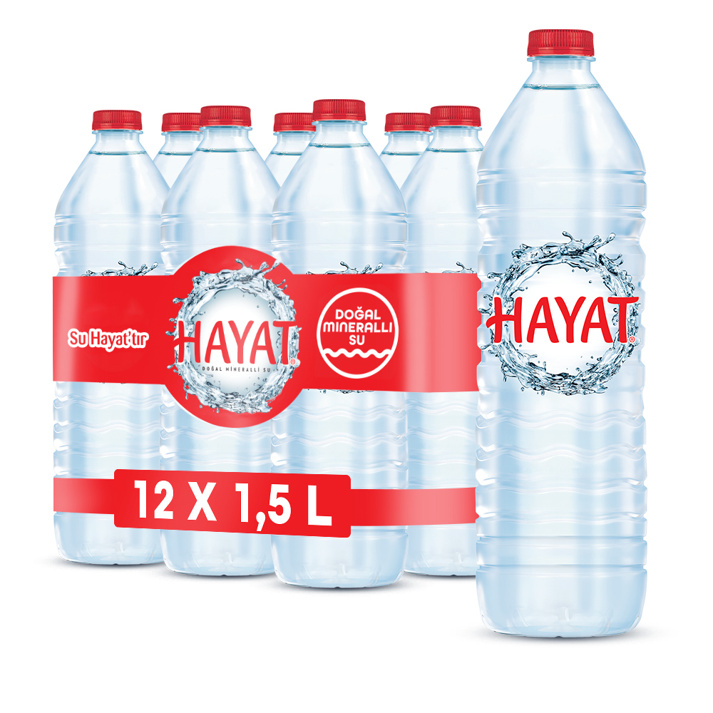 Hayat Su 1.5L × 12