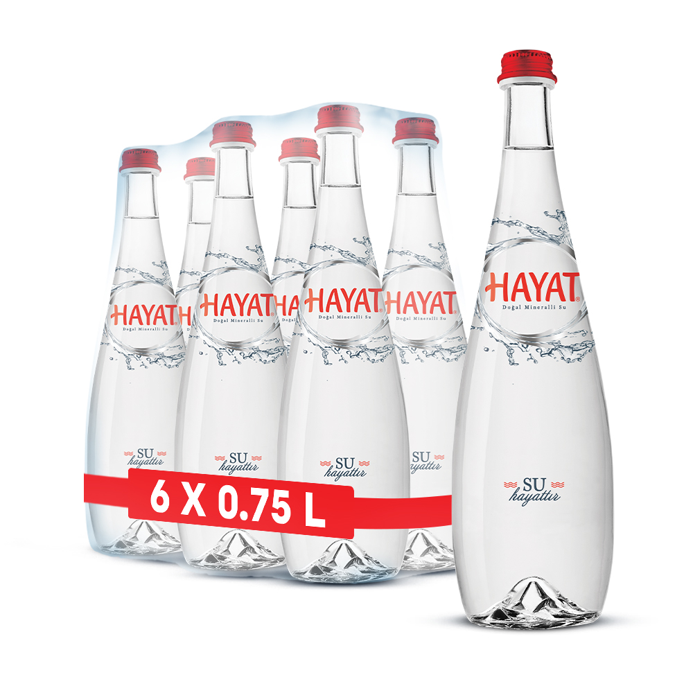 Hayat Cam Su 750ml