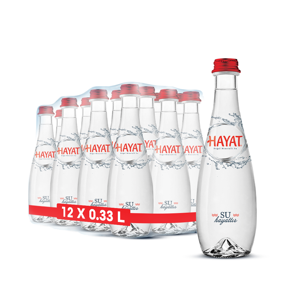 Hayat Cam Su 330ml