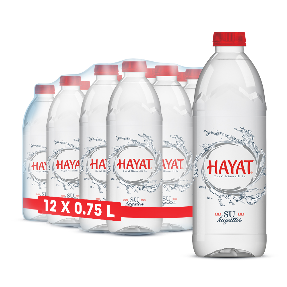 Hayat Premium Pet Su 750ml