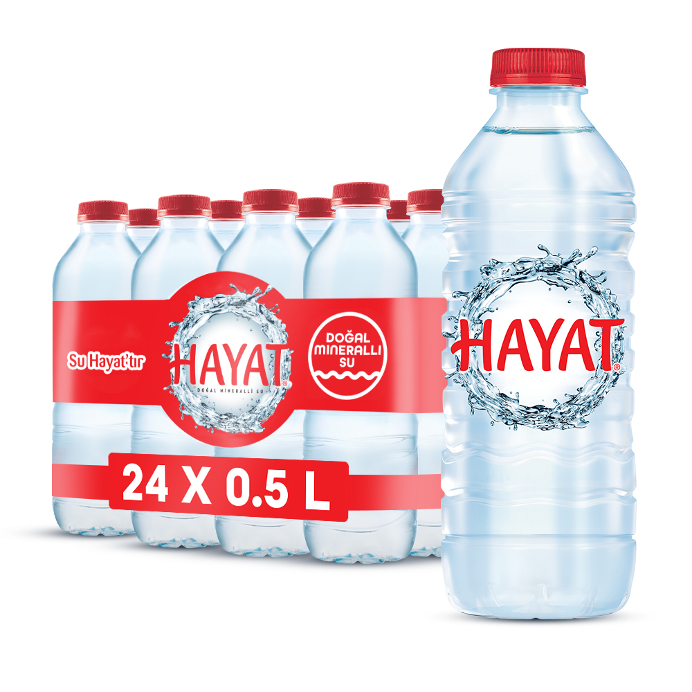 Hayat Su 0.5L × 24