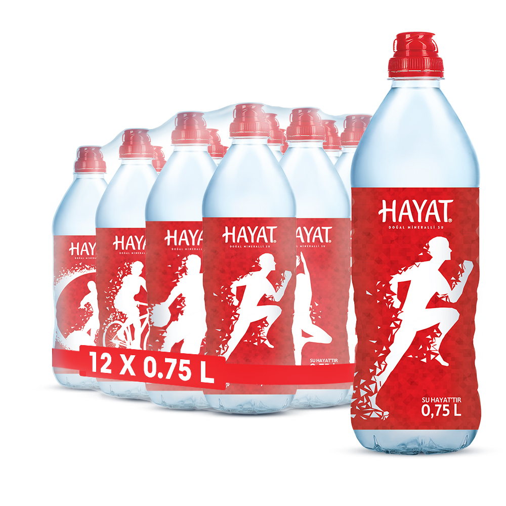 Hayat Sporcu Su 0.75L × 12