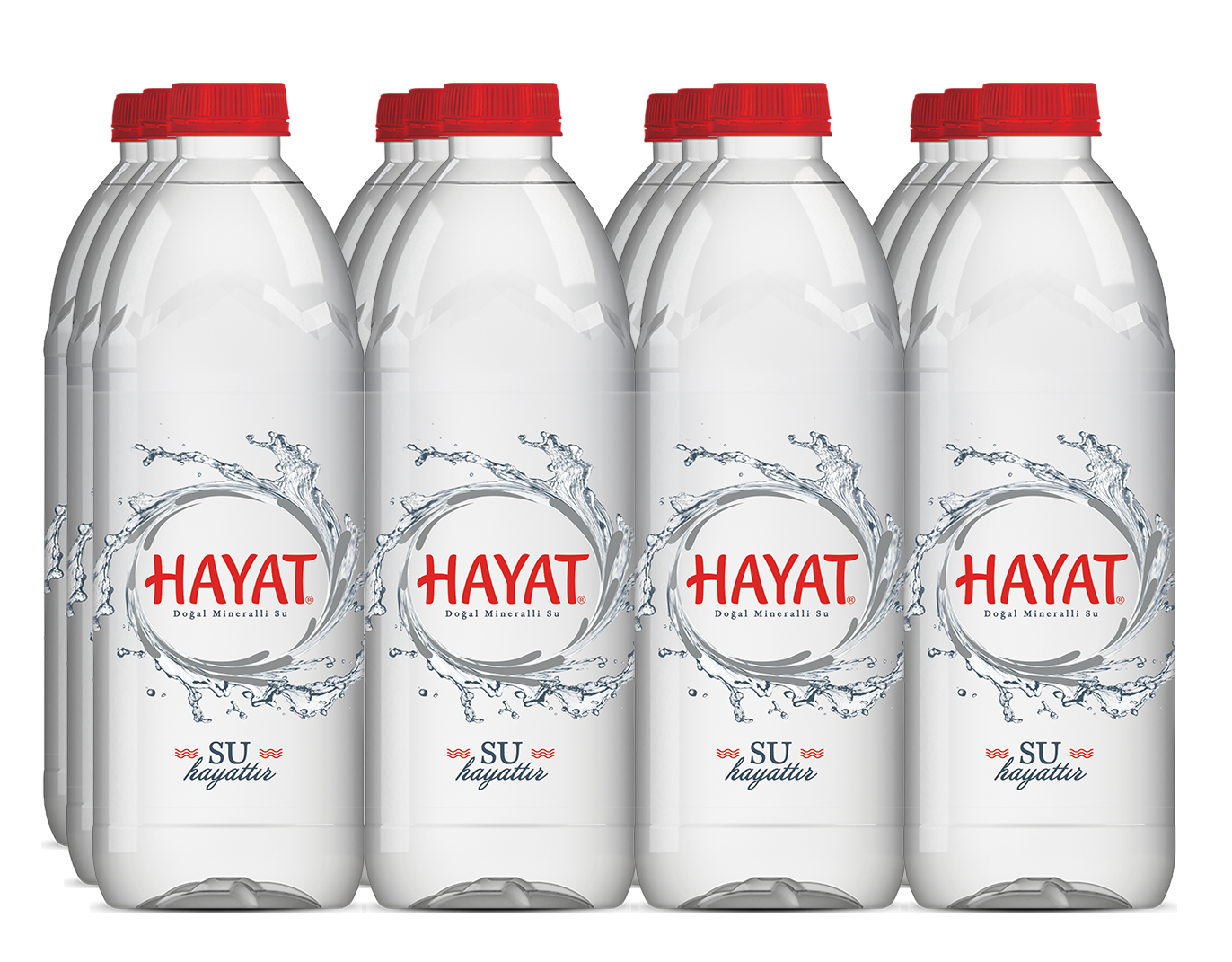 Hayat Premium Pet Su 1L - Görsel 1